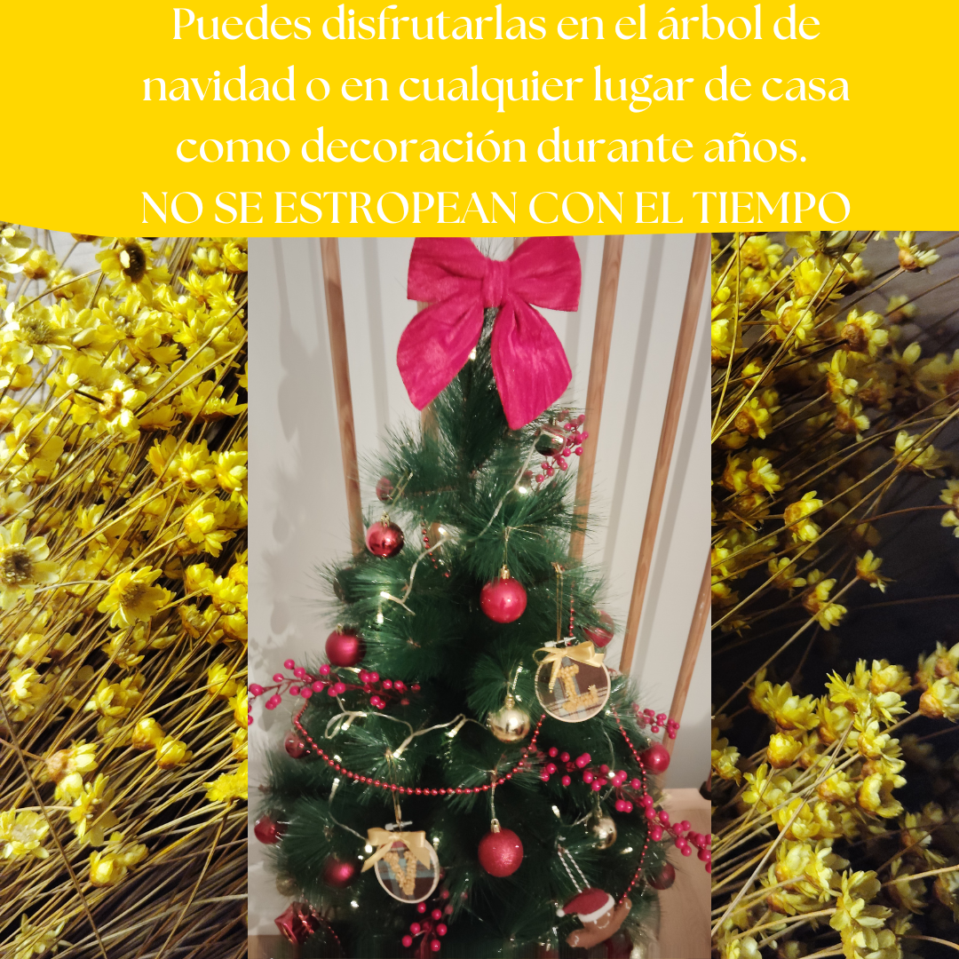 Bastidores CHRISTMAS NATURE™