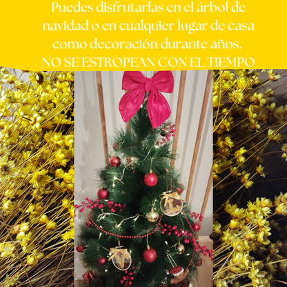 Bastidores CHRISTMAS NATURE™